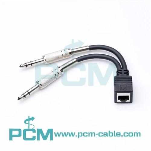 RJ45 Fi Pou DOUB 1/4 TRS Gason Adaptè